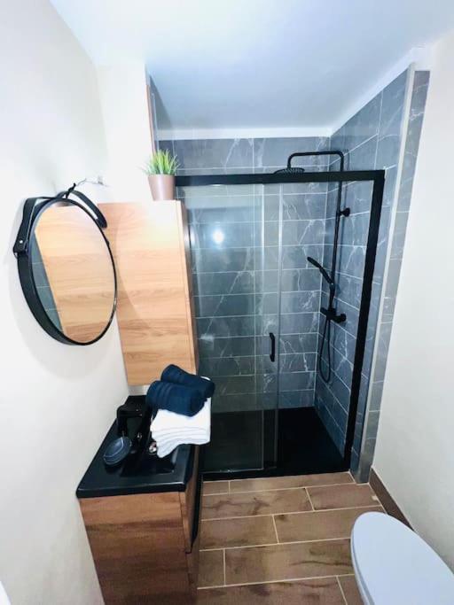Apartment Joli Piece Entierement Renove Et Equipe Classe 2 Etoiles Balaruc-les-Bains